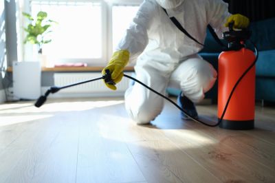 Trapdoor Spider Extermination in Denton, TX